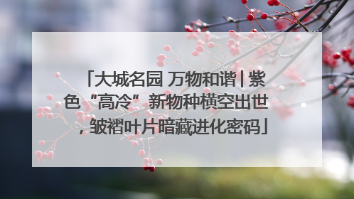 大城名园 万物和谐│紫色“高冷”新物种横空出世，皱褶叶片暗藏进化密码