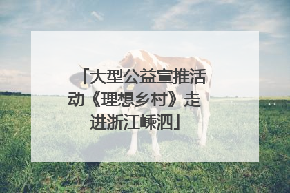 大型公益宣推活动《理想乡村》走进浙江嵊泗