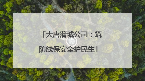 大唐蒲城公司：筑防线保安全护民生