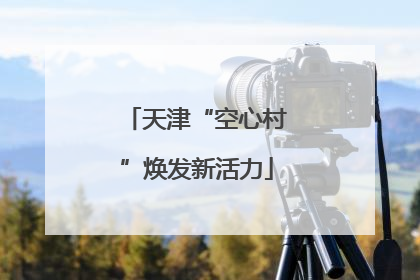 天津“空心村”焕发新活力