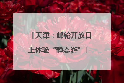 天津：邮轮开放日上体验“静态游”