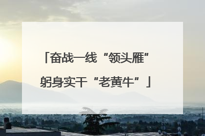 奋战一线“领头雁” 躬身实干“老黄牛”