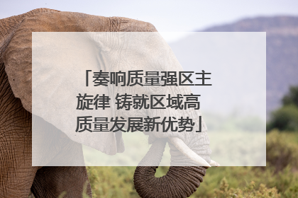 奏响质量强区主旋律 铸就区域高质量发展新优势