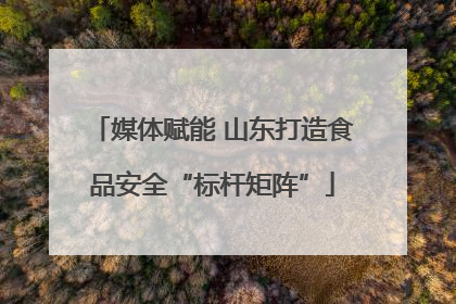 媒体赋能 山东打造食品安全“标杆矩阵”