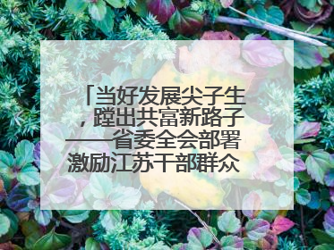 当好发展尖子生，蹚出共富新路子——省委全会部署激励江苏干部群众促进全体人民共同富裕