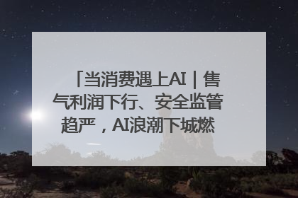 当消费遇上AI｜售气利润下行、安全监管趋严，AI浪潮下城燃企业如何破局