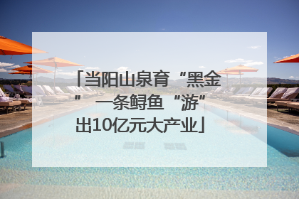 当阳山泉育“黑金” 一条鲟鱼“游”出10亿元大产业