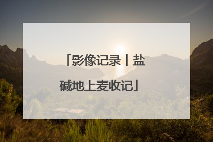 影像记录丨盐碱地上麦收记