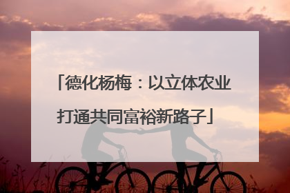 德化杨梅：以立体农业打通共同富裕新路子