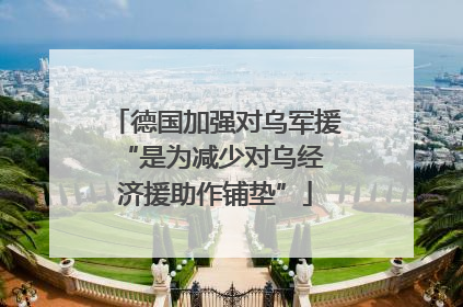 德国加强对乌军援 “是为减少对乌经济援助作铺垫”