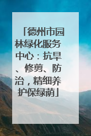 德州市园林绿化服务中心：抗旱、修剪、防治，精细养护保绿荫