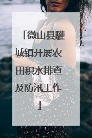 微山县驩城镇开展农田积水排查及防汛工作