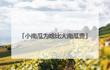 小南瓜为啥比大南瓜贵