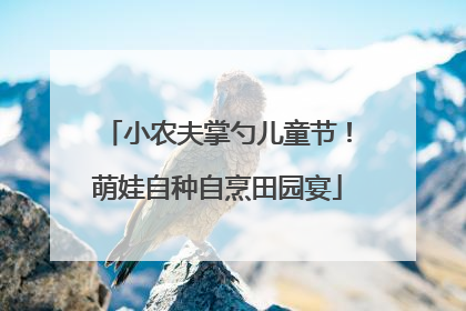 小农夫掌勺儿童节！萌娃自种自烹田园宴