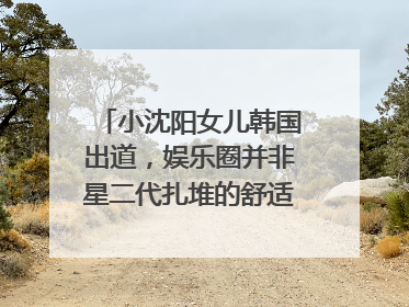 小沈阳女儿韩国出道，娱乐圈并非星二代扎堆的舒适区｜文艺评论