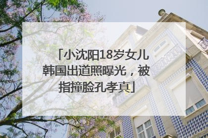 小沈阳18岁女儿韩国出道照曝光，被指撞脸孔孝真