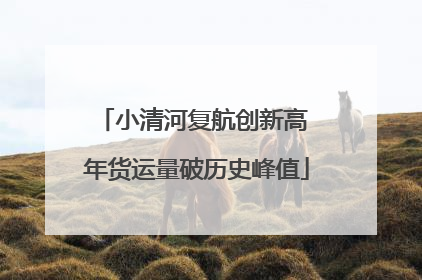 小清河复航创新高 年货运量破历史峰值