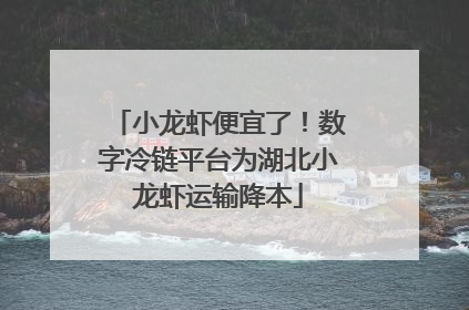 小龙虾便宜了！数字冷链平台为湖北小龙虾运输降本