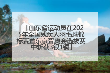 山东省运动员在2025年全国残疾人羽毛球锦标赛暨东京聋奥会选拔赛中斩获3银1铜