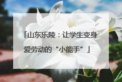 山东乐陵：让学生变身爱劳动的“小能手”