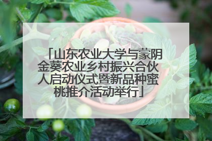 山东农业大学与蒙阴金葵农业乡村振兴合伙人启动仪式暨新品种蜜桃推介活动举行