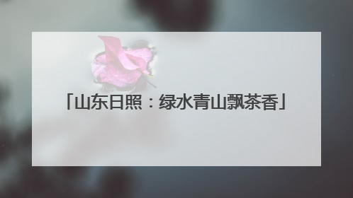 山东日照：绿水青山飘茶香