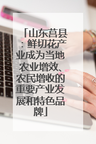 山东莒县：鲜切花产业成为当地农业增效、农民增收的重要产业发展和特色品牌
