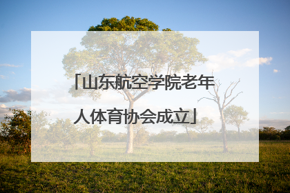 山东航空学院老年人体育协会成立