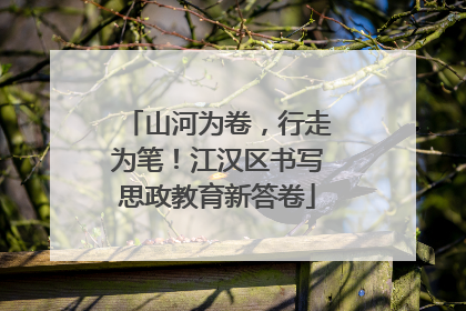 山河为卷，行走为笔！江汉区书写思政教育新答卷