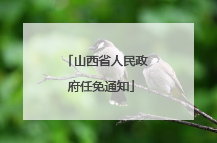 山西省人民政府任免通知
