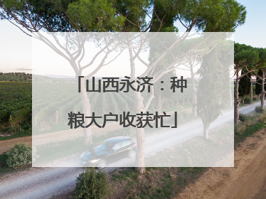山西永济：种粮大户收获忙