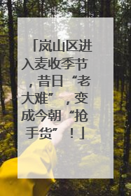 岚山区进入麦收季节，昔日“老大难”，变成今朝“抢手货”！