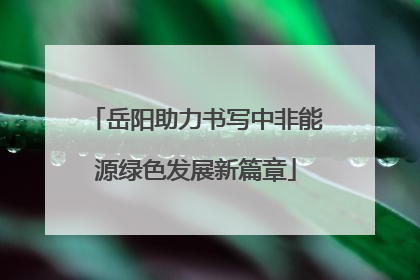 岳阳助力书写中非能源绿色发展新篇章