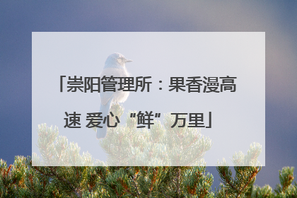 崇阳管理所：果香漫高速 爱心“鲜”万里