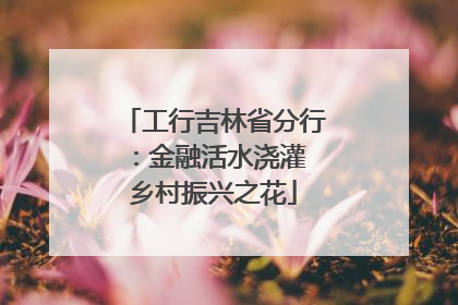 工行吉林省分行：金融活水浇灌 乡村振兴之花