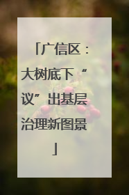 广信区：大树底下“议”出基层治理新图景