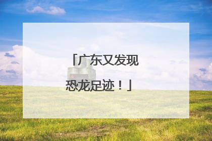 广东又发现恐龙足迹！
