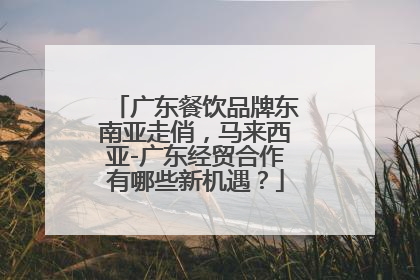 广东餐饮品牌东南亚走俏，马来西亚-广东经贸合作有哪些新机遇？