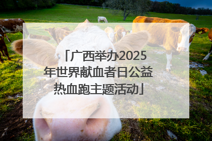广西举办2025年世界献血者日公益热血跑主题活动