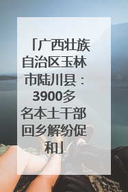 广西壮族自治区玉林市陆川县：3900多名本土干部回乡解纷促和