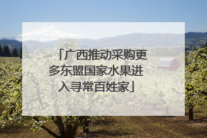 广西推动采购更多东盟国家水果进入寻常百姓家