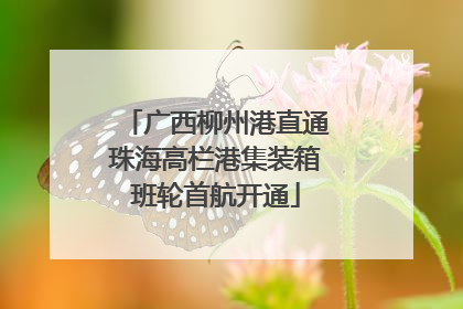 广西柳州港直通珠海高栏港集装箱班轮首航开通