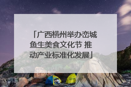 广西横州举办峦城鱼生美食文化节 推动产业标准化发展