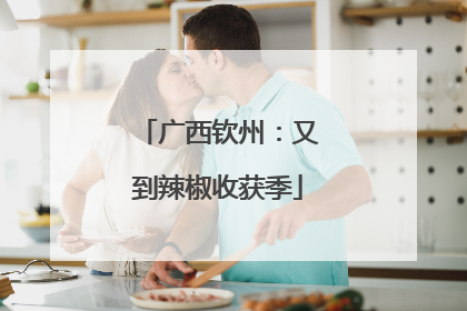 广西钦州：又到辣椒收获季