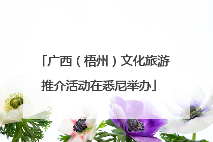 广西（梧州）文化旅游推介活动在悉尼举办