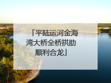 平陆运河金海湾大桥全桥拱肋顺利合龙