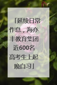 延续日常作息，海亦丰教育集团近600名高考生上起晚自习