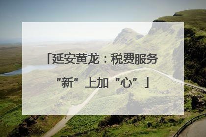 延安黄龙：税费服务“新”上加“心”