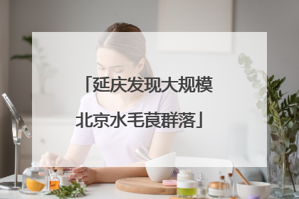 延庆发现大规模北京水毛茛群落