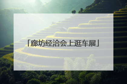 廊坊经洽会上逛车展